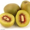 Kiwi - Actinidia Deliciosa Kiwi Wonder 1 Kiwi - Actinidia Deliciosa Kiwi Wonder -Jardin Plantes Boutique Actinidia deliciosa Wonder 84702 1