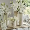Collection Bulbes Pour Bouquets Modernes Blancs 1 Collection Bulbes Pour Bouquets Modernes Blancs -Jardin Plantes Boutique Collection bulbes pour bouquets modernes blancs 18974 1